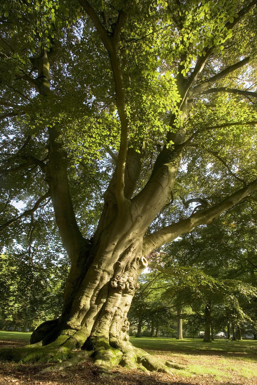 Landgoed Huize Bergen Den Bosch - Vught Ξενοδοχείο Εξωτερικό φωτογραφία
